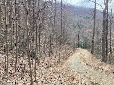 374 Taylor Way, Hiawassee, GA 30546 - photo 6