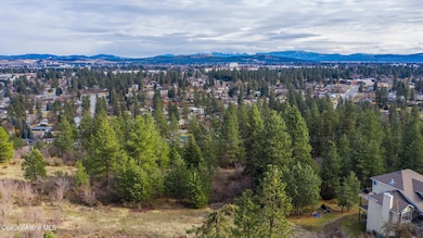 DJI_0131