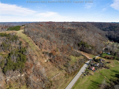 4674 Parkersburg Rd, Reedy, WV 25270 - photo 3