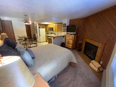 Timberbrook Village Condos unit B102, Brian Head, UT 84719 - photo 2
