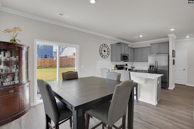 524 Silver Dipper Run, Lexington, SC 29072 - photo 7