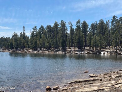 willow springs lake