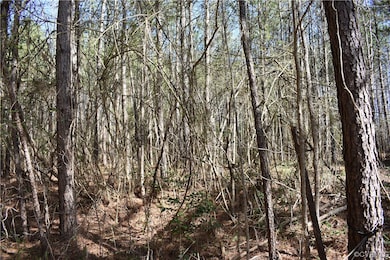 0 Lewis Tyler Lane (Rt 620) Ave unit 2304681, Charles City, VA 23030 - photo 6