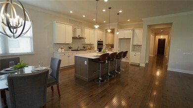 Gourmet Natural Gas Kitchen