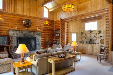 Wood burning fireplace in living room