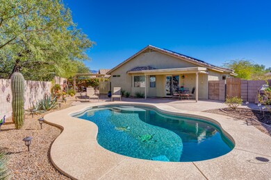 Backyard Full Pic