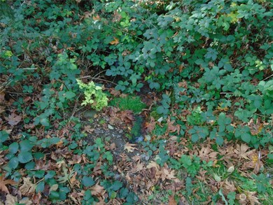 15419 296th St E, Graham, WA 98338 - photo 4