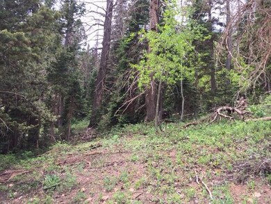 #1 & 2 Ski View Est Un C Blk A, Brian Head, UT 84719 - photo 4