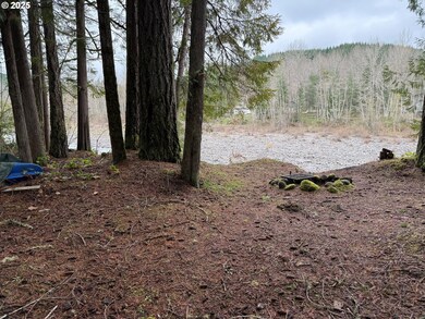 208 Riverview Dr, Castlerock, WA 98611 - photo 7