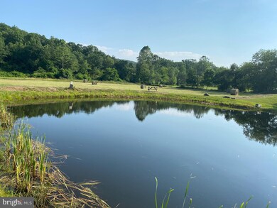 1279 Thorn Run Rd, Grant, WV 26833 - photo 3