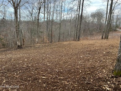 0 Saddleridge unit 1214257, Speedwell, TN 37870 - photo 2