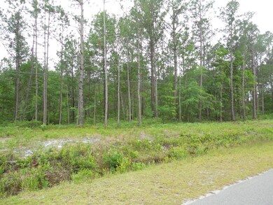 Island Creek Estates lot 32-2