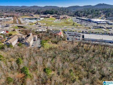 580 Goldenrod Dr unit 1, Birmingham, AL 35215 - photo 5