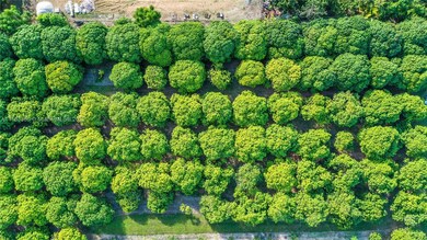 16900 SW 232nd St, Miami, FL 33170 - photo 5