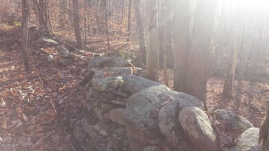 0 Siko Rd unit PWB155722, Honesdale, PA - photo 7