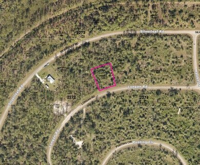 0 Longan Rd unit MFRC7492084, North Port, FL 34288 - photo 3