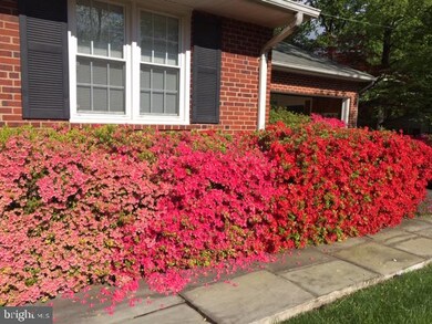 606 Abbott Ln, Falls Church, VA 22046 - photo 3