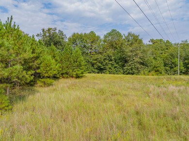 3621 Morgan Rd, Augusta, GA 30815 - photo 4