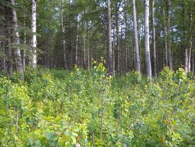 Lot view 3