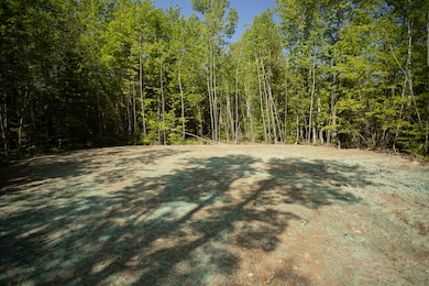 491 Hawks Crossing, Bangor, ME 04401 - photo 6