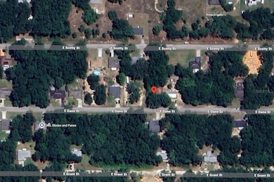 3973 E Dano St, Inverness, FL 34453 - photo 4