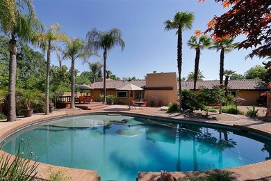 Resort style yard