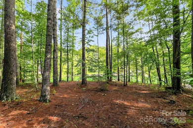 2361 Lake Forest Cove unit 13, Nebo, NC 28761 - photo 7