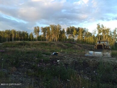 3981 S Tailwind Cir, Big Lake, AK 99652 - photo 2