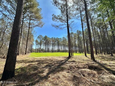 0 Morgan Rd, Canton, MS 39046 - photo 7