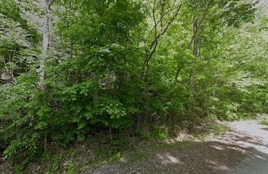 Holiday Ln unit Smithville TN 37166, Smithville, TN 37166 - photo 3