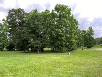 4 Lily Cove, Huntsville, TX 77340 - photo 6