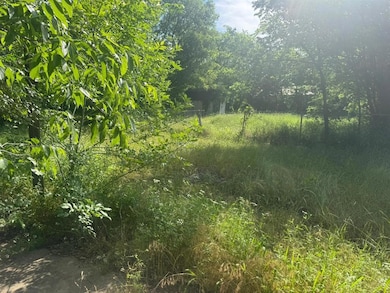 View of woods