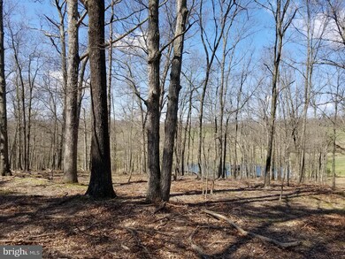 3853 Timber Ridge Rd, Berkeley Springs, WV 25411 - photo 7