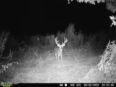 5302 Bend Rd, Vaughan, MS 39179 - photo 2