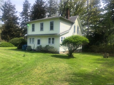 Side View