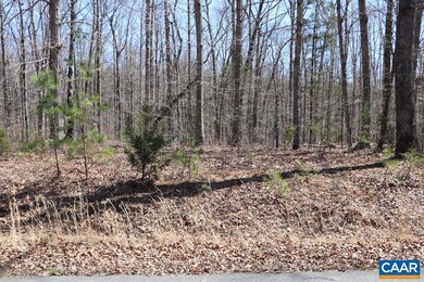 10 Hope Ln, Orange, VA 22960 - photo 3