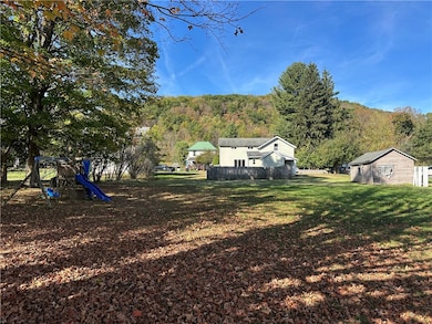 61 N Franklin St, Cattaraugus, NY 14719 - photo 4