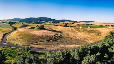 1070 Chaney Rd, Viola, ID 83872 - photo 6