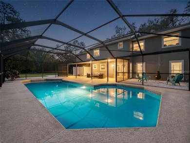 4044 Red Fox Ct, Wesley Chapel, FL 33543 - photo 2