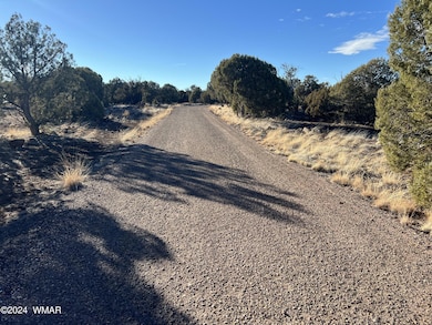 2036 Sitgreaves Ranch Rd, Show Low, AZ 85901 - photo 2