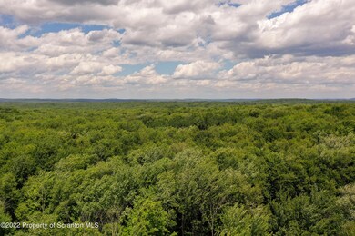 1117 Owego Turnpike, Honesdale, PA 18431 - photo 6