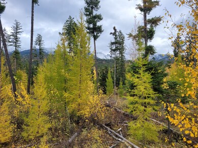 NHN, Bigfork, MT 59911 - photo 7