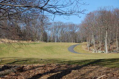 109 Fairway Dr, Lords Valley, PA 18428 - photo 3