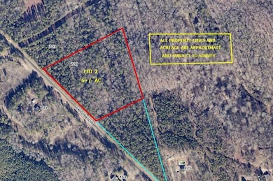 6 + - Ac Sky Line Dr, Chester, SC 29706 - photo 5