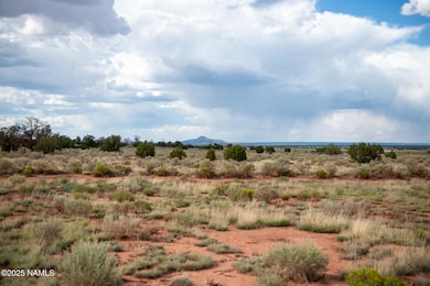 Red Butte View