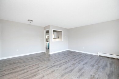 114 Andersen Rd, Chicopee, MA 01022 - photo 7