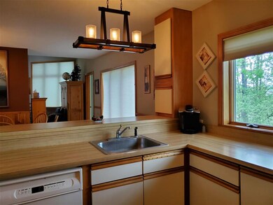 7 Haymaker Ln unit 5A, Wilmington, VT 05363 - photo 5