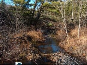 0 Old Westport Rd unit 4432711, Winchester, NH 03470 - photo 2