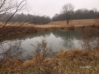 Pond