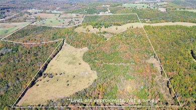 160 Acres Rushing Ridge Rd, Harrison, AR 72601 - photo 5